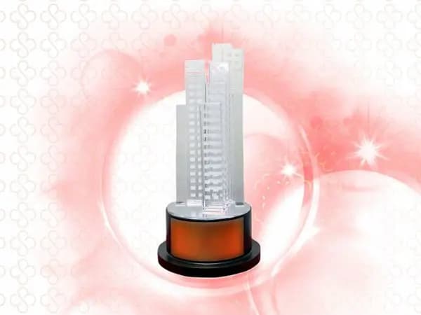 awards item