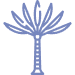 Project Highlight 4