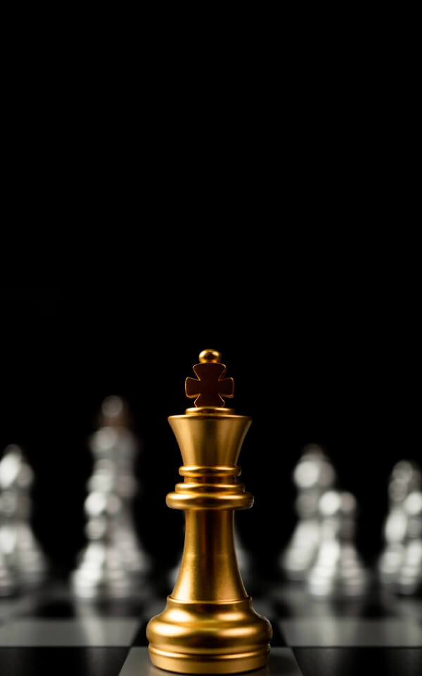 VTP Luxe Mobile Banner 1